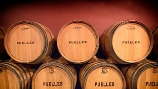 Bodegas Puelles Winery