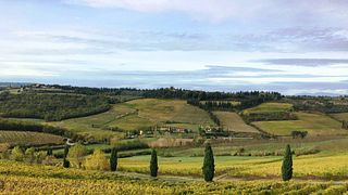 Tuscan Organic Wine Tasting at Poderi Arcangelo