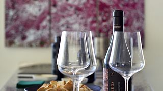 Visit to the winery