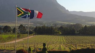 Accord de sommeliers au domaine viticole Topiary
