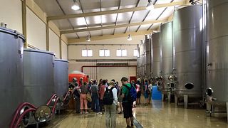 Weinprobe und Führung im Weingut Cremisan