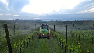 Weinprobe und Tour im Podere Volpaio