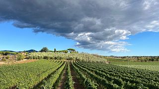 Riserva della Cascina