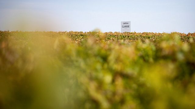 Degustação de 3 vinhos e 2 denominações de origem