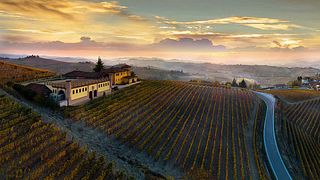 Degustação de Vinhos e Tour no Pier Paolo Grasso Azienda Vitivinicola
