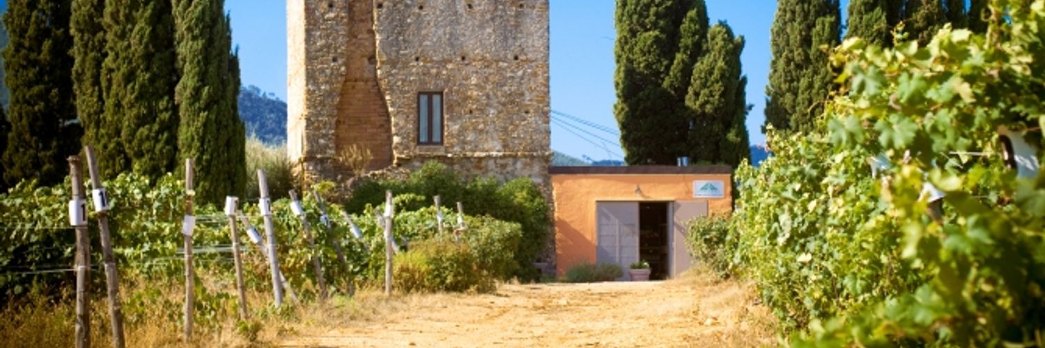 Agriturismo Torre Pernice 3 Wt2025