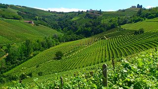 Manera Fratelli Winery
