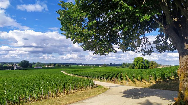 Besuchen Sie das magische Saint-Emilion