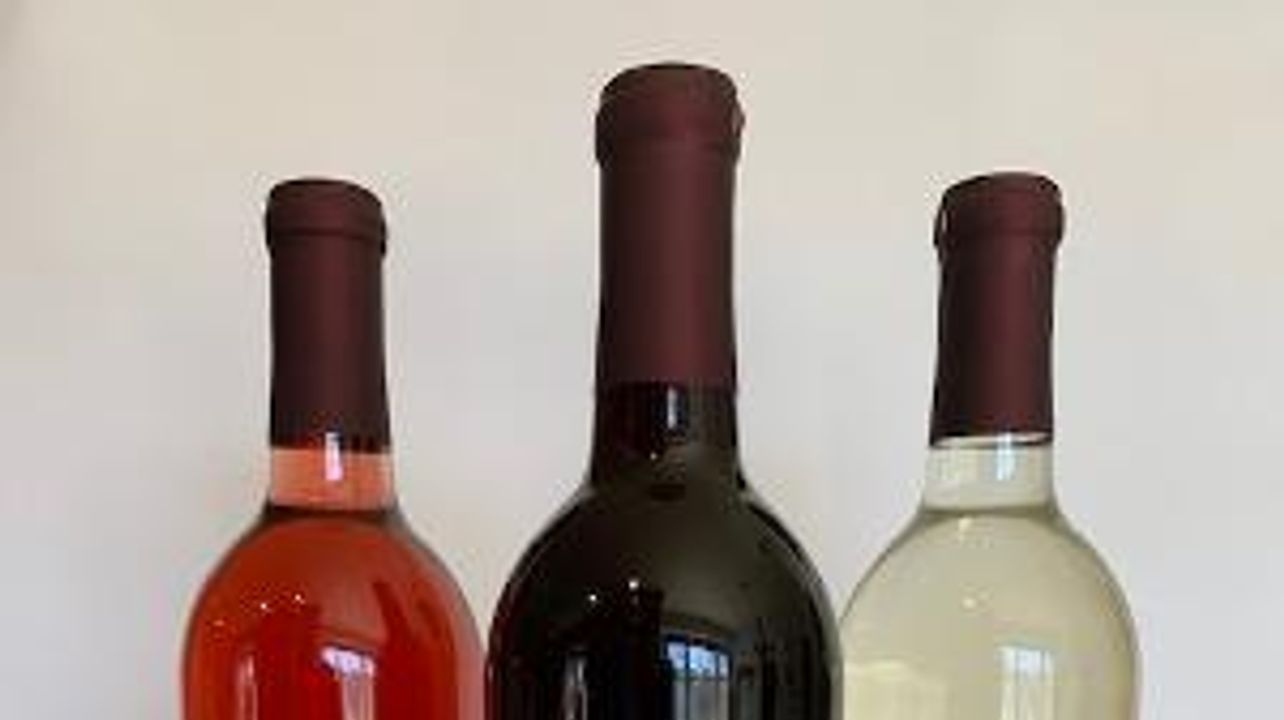 Descarado Wines