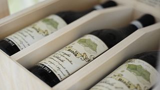 Weinprobe mit Barolo & Barbaresco 