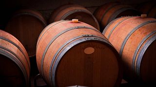Degustazione di vini e tour a Viña Ruda