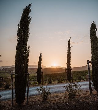 Tenuta Dodici