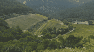 Domaine de Cassan: A Wine Lover's Retreat