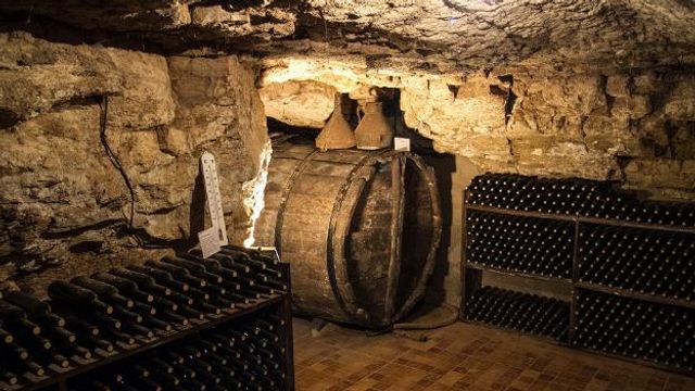 Besuch des Weinguts aus dem 16. Jahrhundert + Weinprobe | Bodegas Lecea