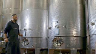 Vinprovning och rundtur på Cieck Winery