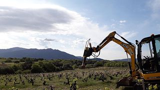 Dégustation et visite de vins au Domaine Vaquer
