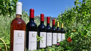 Degustação de vinhos clássicos no Luisier Vin