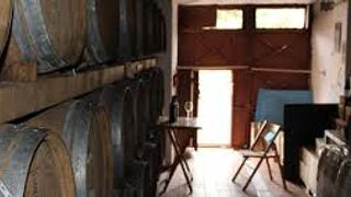 Cata en la Cueva de la Tuff: Un viaje de vino e historia