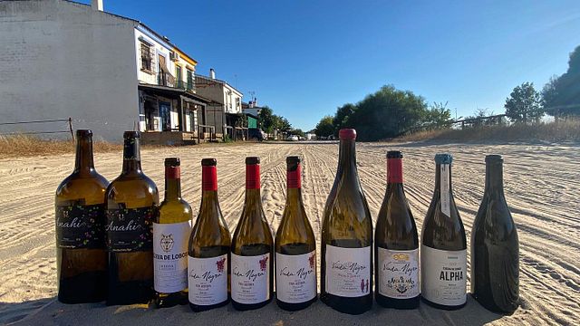 Bodegas Javier San Pedro Ortega