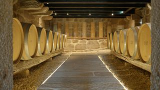 Descubra a experiência e o tour do vinho 