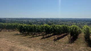 Visit and tasting of Herve Country Wine