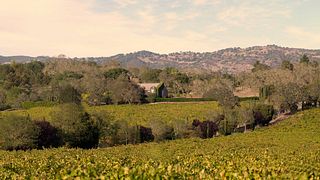Signorello Estate