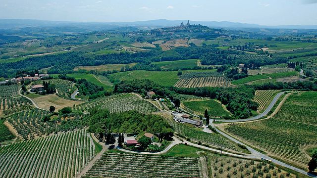 Azienda San Quirico: A Taste of Tuscany