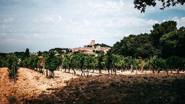 Chateau Fortia