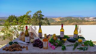 Palette di Quinta da Folgorosa - Tour dei vigneti, mulino a vento e degustazione di 6 vini