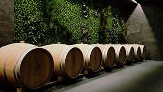 Tuscan Wine & Bites at Davinum