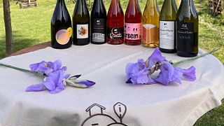 Una giornata con l'enologo: visita didattica e degustazione presso Podere Casa Piana