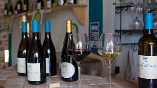 Languedoc-Roussillon Wine Journey at Domaine La Prade Mari