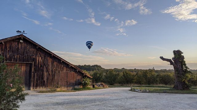 Degustação de vinhos e tour no Domaine de Pajot