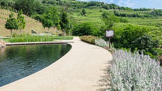 Expérience Vin et Nature à Ca' Rugate