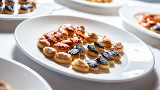 Weinkeller-Exkursion Weinbergbesuch, Verkostung von 3 Weinen und Snacks