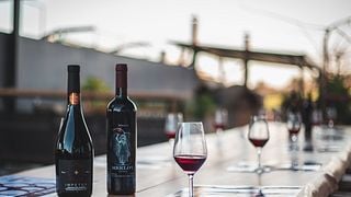 Degustação para amantes de vinho | Vinhos Titakis