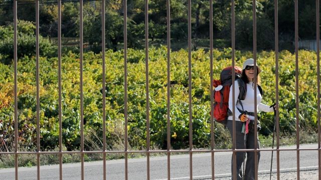 Bodegas Godelia: A Gem in Bierzo