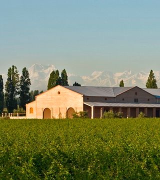 Dégustation de vins et visite de la cave Otero Ramos