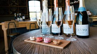 Weinprobe bei Canto Wines