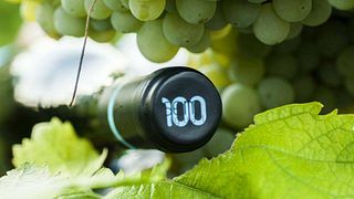 Cata y tour de vinos clásicos en 100Igual