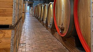 Découvrez les Langhe avec un expert en vins locaux