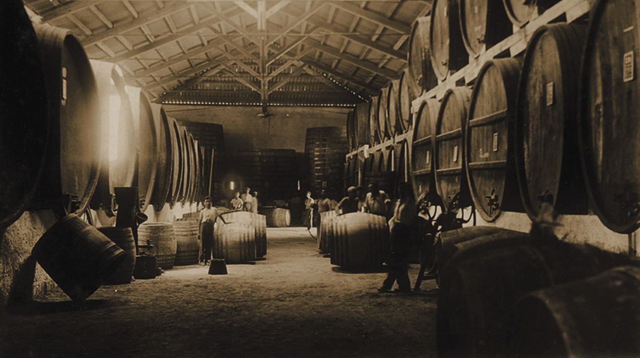 Pellegrino Winery