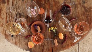 Degustação de vinhos e tour no Baia's Wine