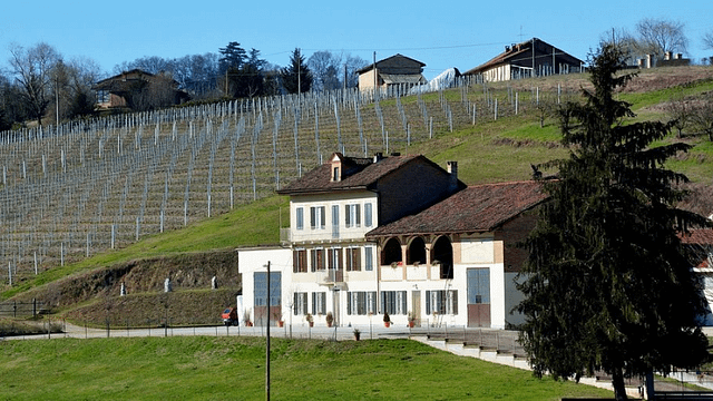 Degustação de vinhos de luxo e tour na Casa Vinicola Franco Francesco