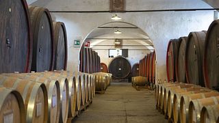 Veneto Wine & Garden Tour at Dominio di Bagnoli