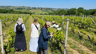 Dégustation de vins Casa Sola