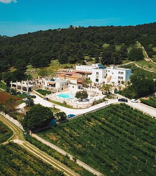 Visita ai vigneti della Masseria