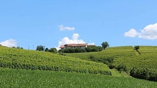 Visit the Cascina Carlot Winery Cellar