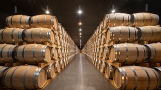 Bodega Cepa 21