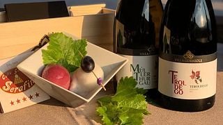 Villa Corniole Winery